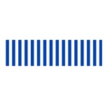 Vertical Stripes - White and Cobalt Blue Satin Scarf (Oblong)