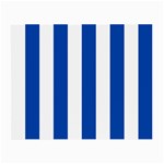 Vertical Stripes - White and Cobalt Blue Small Glasses Cloth
