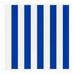 Vertical Stripes - White and Cobalt Blue Medium Glasses Cloth (2 Sides)