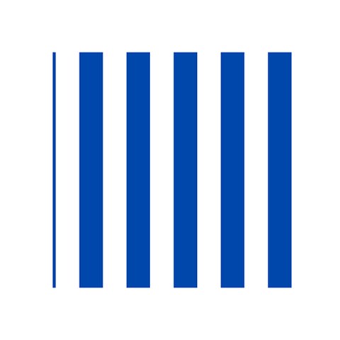 Vertical Stripes Front Inside