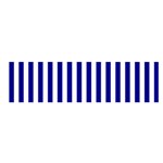 Vertical Stripes - White and Dark Blue Satin Scarf (Oblong)