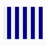 Vertical Stripes - White and Dark Blue Small Glasses Cloth