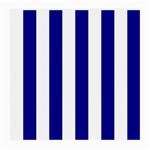 Vertical Stripes - White and Dark Blue Medium Glasses Cloth (2 Sides)