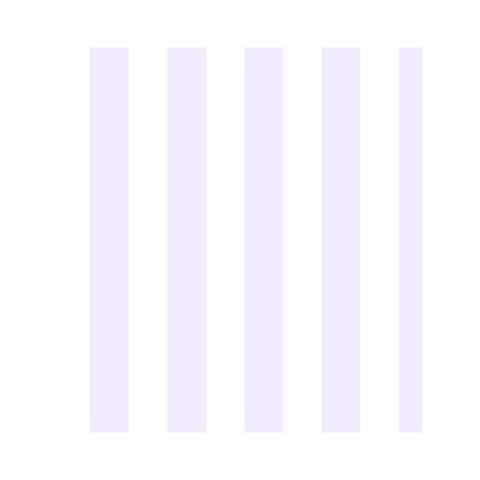 Vertical Stripes Front Inside