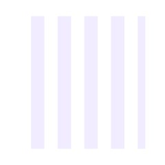 Vertical Stripes Front Inside