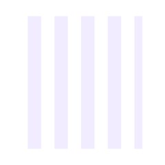 Vertical Stripes Back Inside