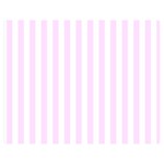 Vertical Stripes - White and Pale Thistle Violet Double Sided Flano Blanket (Medium)