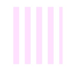 Vertical Stripes Front Inside