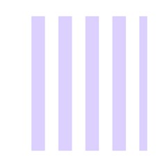 Vertical Stripes Front Inside