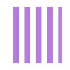 Vertical Stripes Front Inside