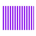 Vertical Stripes - White and Violet Double Sided Flano Blanket (Mini)