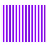 Vertical Stripes - White and Violet Double Sided Flano Blanket (Small)
