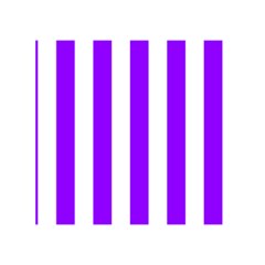 Vertical Stripes Back Inside