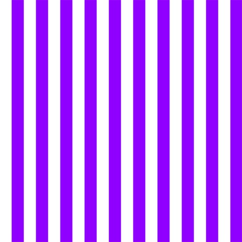 Vertical Stripes 12 x12  Scrapbook Page - 1