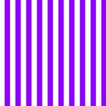 Vertical Stripes - White and Violet ScrapBook Page 12  x 12 
