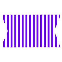 Vertical Stripes Waistband Front