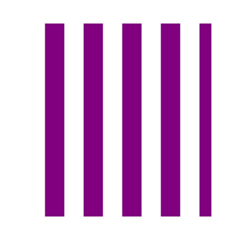 Vertical Stripes Front Inside