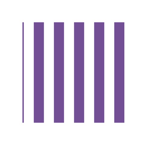 Vertical Stripes Front Inside