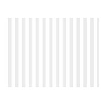 Vertical Stripes - White and Pale Gray Double Sided Flano Blanket (Mini)