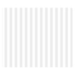 Vertical Stripes - White and Pale Gray Double Sided Flano Blanket (Small)