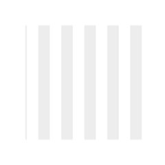 Vertical Stripes Front Inside