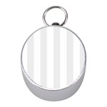 Vertical Stripes - White and Pale Gray Silver Compass (Mini)