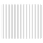 Vertical Stripes - White and Gainsboro Gray Double Sided Flano Blanket (Small)