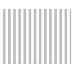 Vertical Stripes - White and Silver Gray Double Sided Flano Blanket (Medium)