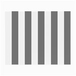 Vertical Stripes - White and Gray Small Glasses Cloth (2 Sides)