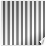 Vertical Stripes - White and Gray Canvas 20  x 20 