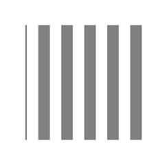 Vertical Stripes Front Inside