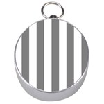 Vertical Stripes - White and Gray Silver Compass