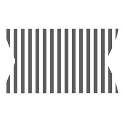 Vertical Stripes Waistband Front