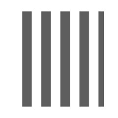 Vertical Stripes Front Inside