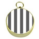 Vertical Stripes - White and Dark Gray Gold Compass