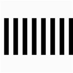 Vertical Stripes - White and Black 4  x 8  Photo Cards