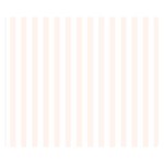 Vertical Stripes - White and Seashell Double Sided Flano Blanket (Small)