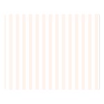 Vertical Stripes - White and Seashell Double Sided Flano Blanket (Large)