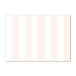 Vertical Stripes - White and Seashell Sticker A4 (10 pack)