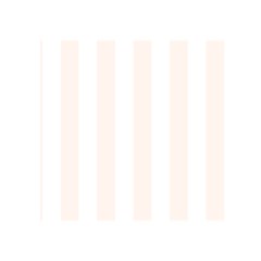 Vertical Stripes Front Inside