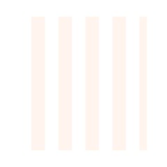 Vertical Stripes Front Inside