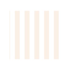 Vertical Stripes Back Inside