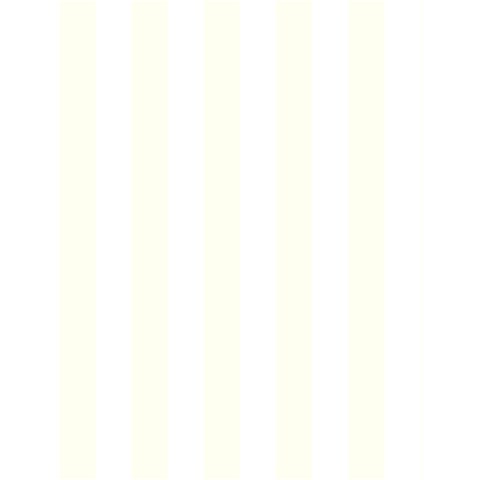 Vertical Stripes 4.125 x5.5  Memopad