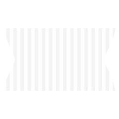 Vertical Stripes Waistband Front