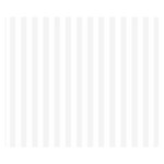 Vertical Stripes - White and White Smoke Double Sided Flano Blanket (Small)