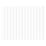 Vertical Stripes - White and White Smoke Double Sided Flano Blanket (Large)