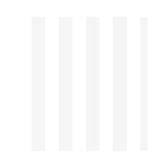 Vertical Stripes Front Inside