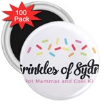 Image 3  Magnet (100 pack)