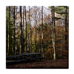 Pa Grand Canyon East Rim Trees 8 Tile Coaster