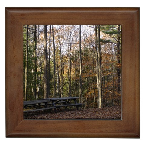 Pa Grand Canyon East Rim Trees 8 Framed Tile from ArtsNow.com Front